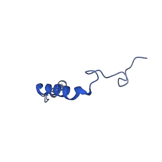 35686_8iru_G_v1-2
Dopamine Receptor D4R-Gi-Rotigotine complex