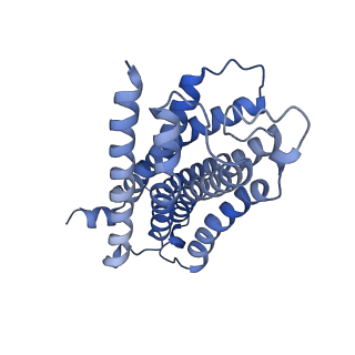 35686_8iru_R_v1-2
Dopamine Receptor D4R-Gi-Rotigotine complex
