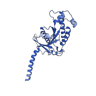 35687_8irv_A_v1-2
Dopamine Receptor D5R-Gs-Rotigotine complex