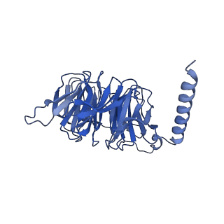 35687_8irv_B_v1-2
Dopamine Receptor D5R-Gs-Rotigotine complex