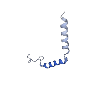 35687_8irv_G_v1-2
Dopamine Receptor D5R-Gs-Rotigotine complex