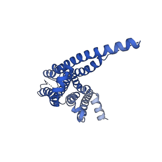 35687_8irv_R_v1-2
Dopamine Receptor D5R-Gs-Rotigotine complex