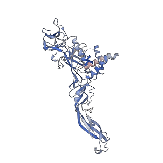 8116_5ire_A_v1-5
The cryo-EM structure of Zika Virus