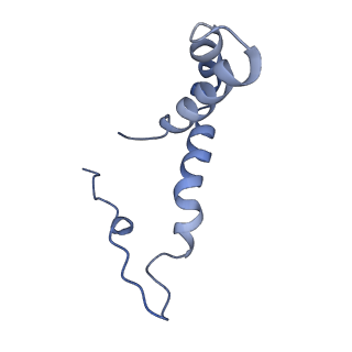 8116_5ire_D_v1-5
The cryo-EM structure of Zika Virus