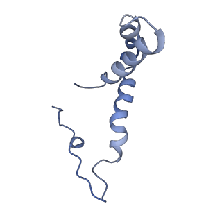 8116_5ire_D_v2-0
The cryo-EM structure of Zika Virus