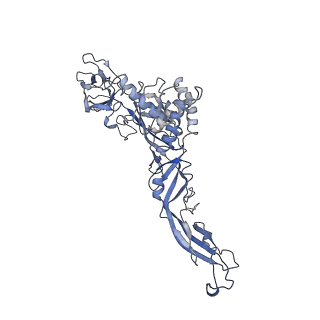 8116_5ire_E_v1-5
The cryo-EM structure of Zika Virus