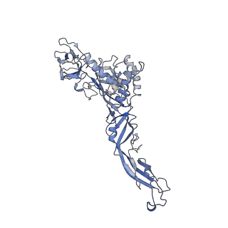 8116_5ire_E_v2-0
The cryo-EM structure of Zika Virus