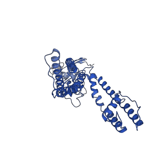 8117_5irx_A_v1-4
Structure of TRPV1 in complex with DkTx and RTX, determined in lipid nanodisc