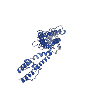 8117_5irx_B_v1-4
Structure of TRPV1 in complex with DkTx and RTX, determined in lipid nanodisc