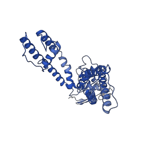 8117_5irx_D_v1-4
Structure of TRPV1 in complex with DkTx and RTX, determined in lipid nanodisc