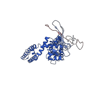 8118_5irz_B_v1-4
Structure of TRPV1 determined in lipid nanodisc