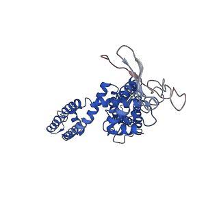 8118_5irz_B_v1-5
Structure of TRPV1 determined in lipid nanodisc