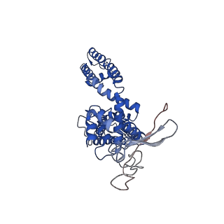 8118_5irz_C_v1-4
Structure of TRPV1 determined in lipid nanodisc