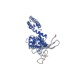 8118_5irz_C_v1-5
Structure of TRPV1 determined in lipid nanodisc