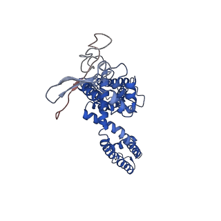 8118_5irz_D_v1-4
Structure of TRPV1 determined in lipid nanodisc