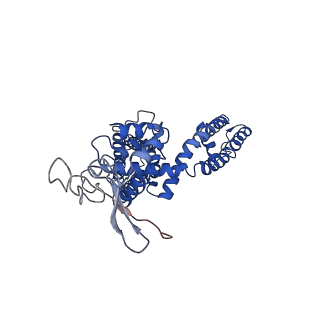 8118_5irz_E_v1-4
Structure of TRPV1 determined in lipid nanodisc