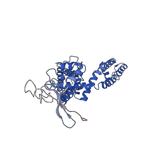 8118_5irz_E_v1-5
Structure of TRPV1 determined in lipid nanodisc