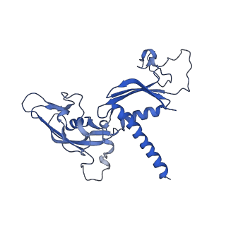 9713_6ir9_C_v1-3
RNA polymerase II elongation complex bound with Elf1 and Spt4/5, stalled at SHL(-1) of the nucleosome