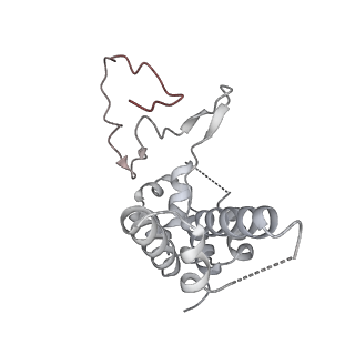 9713_6ir9_D_v1-2
RNA polymerase II elongation complex bound with Elf1 and Spt4/5, stalled at SHL(-1) of the nucleosome