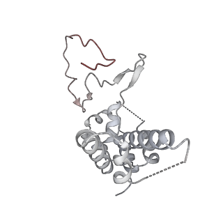 9713_6ir9_D_v1-3
RNA polymerase II elongation complex bound with Elf1 and Spt4/5, stalled at SHL(-1) of the nucleosome