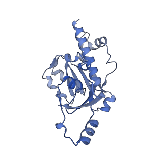 9713_6ir9_E_v1-2
RNA polymerase II elongation complex bound with Elf1 and Spt4/5, stalled at SHL(-1) of the nucleosome