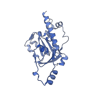 9713_6ir9_E_v1-3
RNA polymerase II elongation complex bound with Elf1 and Spt4/5, stalled at SHL(-1) of the nucleosome