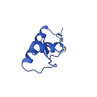 9713_6ir9_F_v1-2
RNA polymerase II elongation complex bound with Elf1 and Spt4/5, stalled at SHL(-1) of the nucleosome