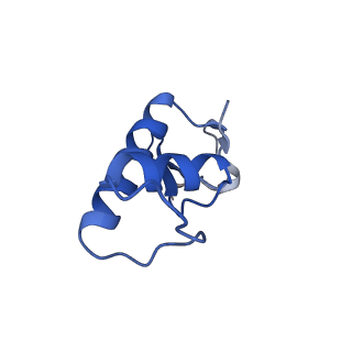 9713_6ir9_F_v1-3
RNA polymerase II elongation complex bound with Elf1 and Spt4/5, stalled at SHL(-1) of the nucleosome