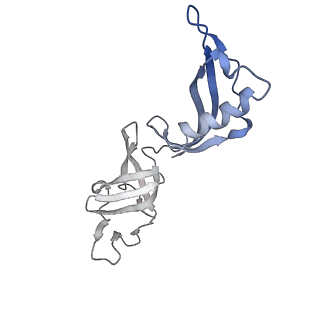 9713_6ir9_G_v1-2
RNA polymerase II elongation complex bound with Elf1 and Spt4/5, stalled at SHL(-1) of the nucleosome