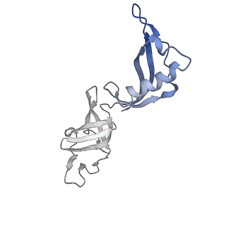 9713_6ir9_G_v1-3
RNA polymerase II elongation complex bound with Elf1 and Spt4/5, stalled at SHL(-1) of the nucleosome