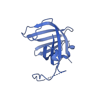 9713_6ir9_H_v1-3
RNA polymerase II elongation complex bound with Elf1 and Spt4/5, stalled at SHL(-1) of the nucleosome