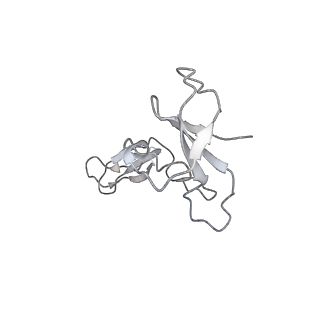 9713_6ir9_I_v1-2
RNA polymerase II elongation complex bound with Elf1 and Spt4/5, stalled at SHL(-1) of the nucleosome
