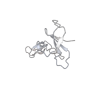 9713_6ir9_I_v1-3
RNA polymerase II elongation complex bound with Elf1 and Spt4/5, stalled at SHL(-1) of the nucleosome
