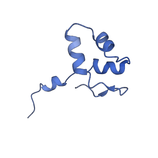 9713_6ir9_J_v1-2
RNA polymerase II elongation complex bound with Elf1 and Spt4/5, stalled at SHL(-1) of the nucleosome