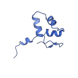 9713_6ir9_J_v1-3
RNA polymerase II elongation complex bound with Elf1 and Spt4/5, stalled at SHL(-1) of the nucleosome