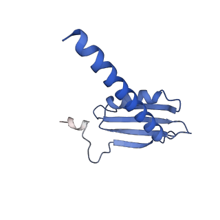 9713_6ir9_K_v1-2
RNA polymerase II elongation complex bound with Elf1 and Spt4/5, stalled at SHL(-1) of the nucleosome