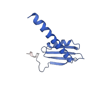 9713_6ir9_K_v1-3
RNA polymerase II elongation complex bound with Elf1 and Spt4/5, stalled at SHL(-1) of the nucleosome