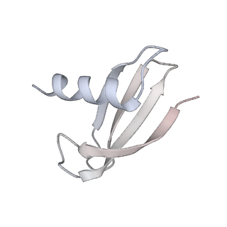 9713_6ir9_M_v1-2
RNA polymerase II elongation complex bound with Elf1 and Spt4/5, stalled at SHL(-1) of the nucleosome