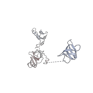 9713_6ir9_W_v1-2
RNA polymerase II elongation complex bound with Elf1 and Spt4/5, stalled at SHL(-1) of the nucleosome