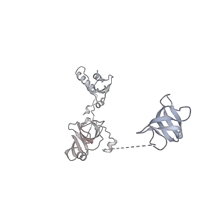 9713_6ir9_W_v1-3
RNA polymerase II elongation complex bound with Elf1 and Spt4/5, stalled at SHL(-1) of the nucleosome