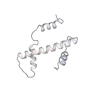9713_6ir9_a_v1-2
RNA polymerase II elongation complex bound with Elf1 and Spt4/5, stalled at SHL(-1) of the nucleosome
