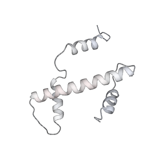 9713_6ir9_a_v1-3
RNA polymerase II elongation complex bound with Elf1 and Spt4/5, stalled at SHL(-1) of the nucleosome