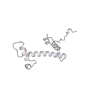 9713_6ir9_c_v1-3
RNA polymerase II elongation complex bound with Elf1 and Spt4/5, stalled at SHL(-1) of the nucleosome