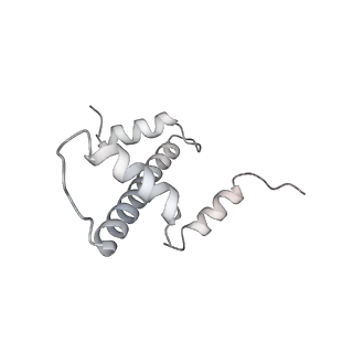 9713_6ir9_e_v1-2
RNA polymerase II elongation complex bound with Elf1 and Spt4/5, stalled at SHL(-1) of the nucleosome