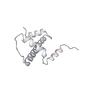 9713_6ir9_e_v1-3
RNA polymerase II elongation complex bound with Elf1 and Spt4/5, stalled at SHL(-1) of the nucleosome
