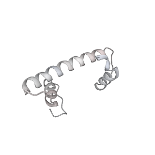 9713_6ir9_f_v1-3
RNA polymerase II elongation complex bound with Elf1 and Spt4/5, stalled at SHL(-1) of the nucleosome