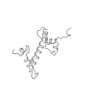 9713_6ir9_g_v1-2
RNA polymerase II elongation complex bound with Elf1 and Spt4/5, stalled at SHL(-1) of the nucleosome