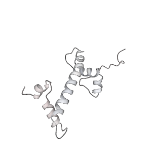 9713_6ir9_g_v1-3
RNA polymerase II elongation complex bound with Elf1 and Spt4/5, stalled at SHL(-1) of the nucleosome