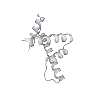 9713_6ir9_h_v1-3
RNA polymerase II elongation complex bound with Elf1 and Spt4/5, stalled at SHL(-1) of the nucleosome