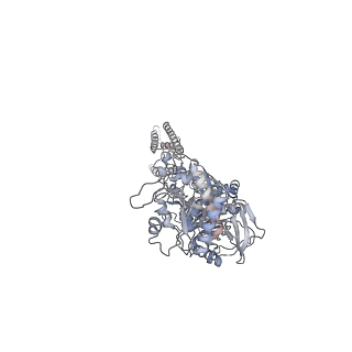 9714_6ira_A_v1-1
Structure of the human GluN1/GluN2A NMDA receptor in the glutamate/glycine-bound state at pH 7.8